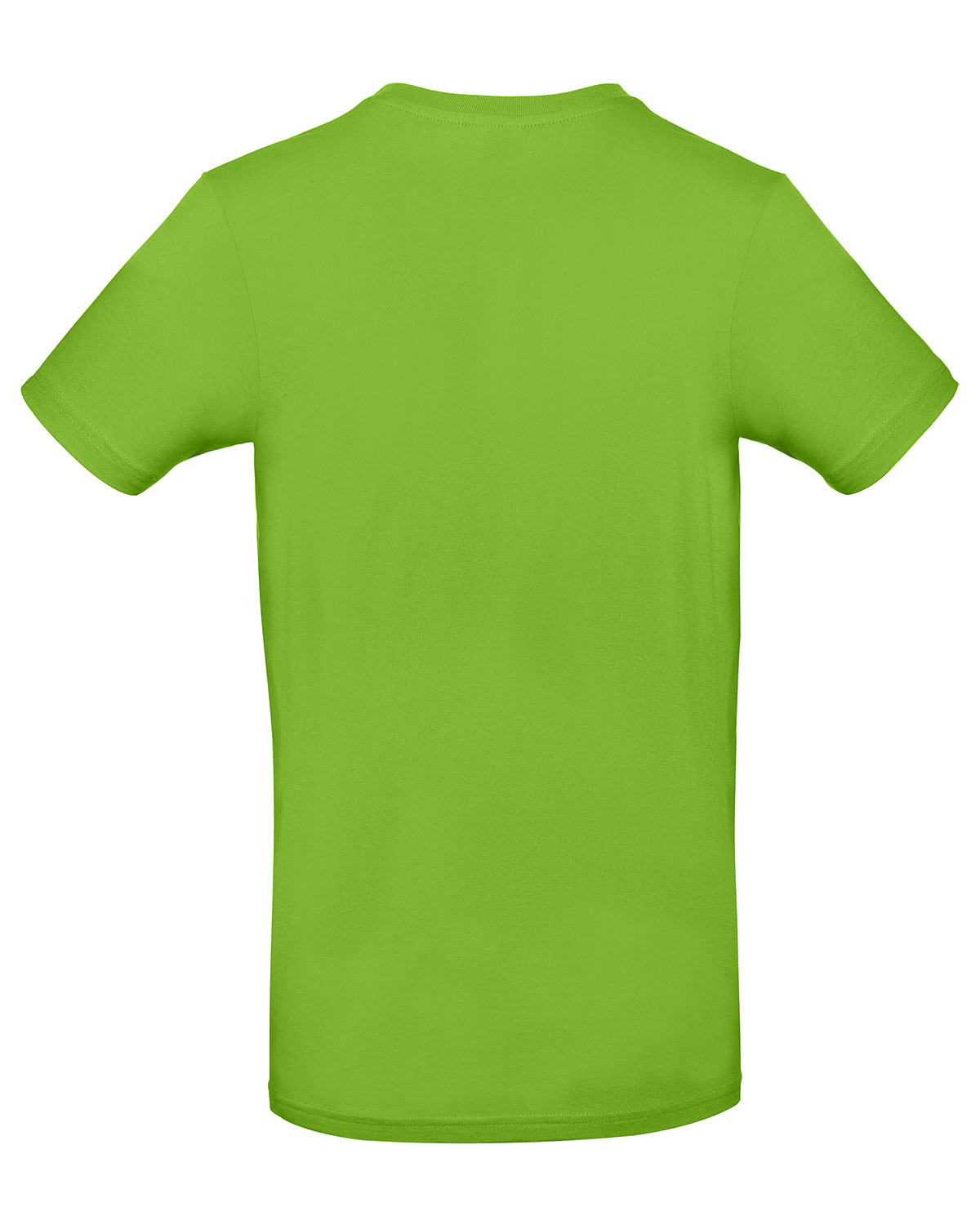 T-Shirt #E190 Orchid Green 3XL